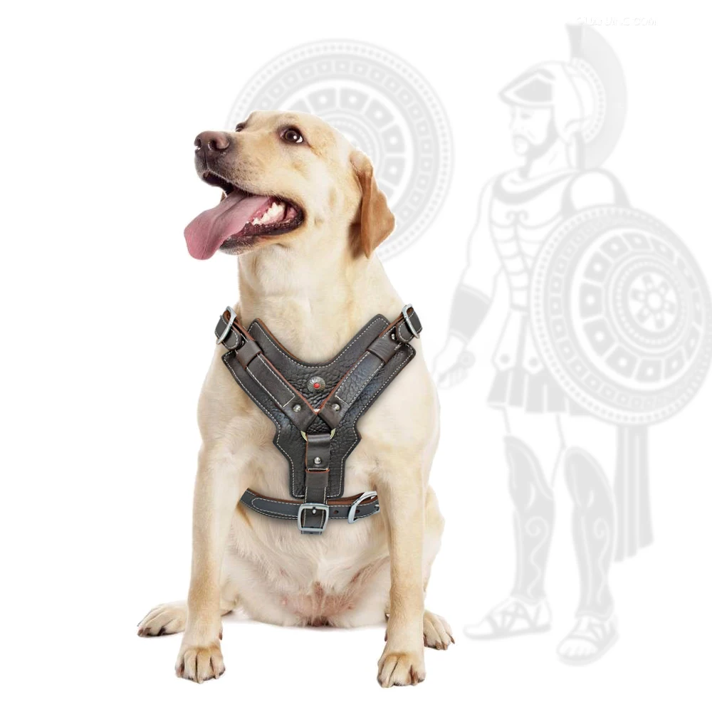 Durable Dog Harness Large Dogs Genuine Leather Harnesses Pet Training Vest With Quick Control Handle For Labrador Pitbull - Image 3