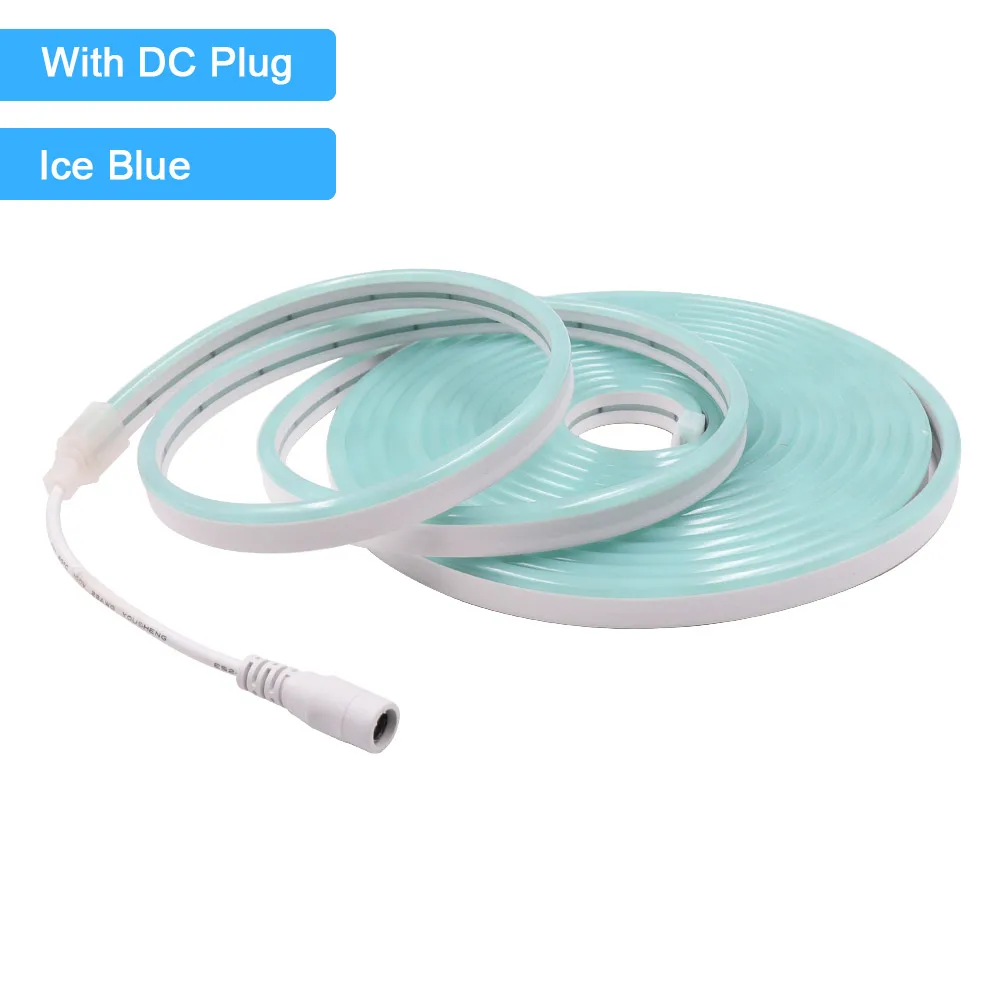 12V 24V LED Neon Light Strip Waterproof Neon Sign 6X12mm Silicone Rope Lights Flexible Lamp Decoration with DC Plug/2pin Wire - Image 19