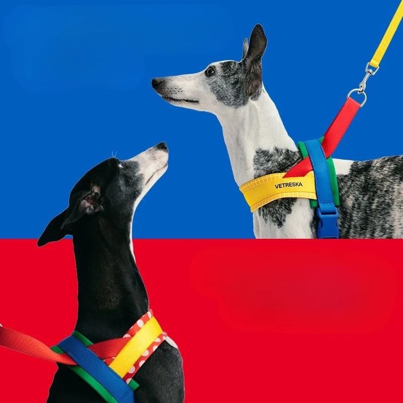 Dog Rope Collar Drag Harness for Dogs Multifunctional Tow Leash Big Medium Small Pet Leash Dog Pet Walks Drag Harness and Collar - Image 2