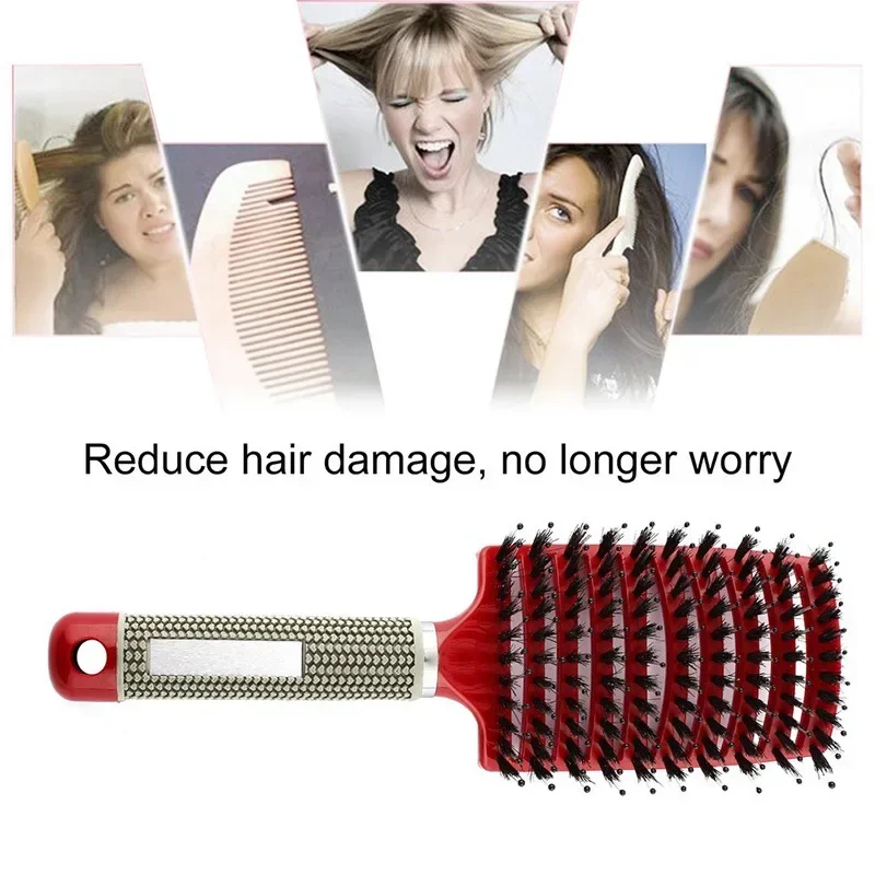 Hair Brush Scalp Massage Comb Hairbrush Boar Bristle Nylon Women Wet Curly Detangle Hair Brush Salon Hairdressing Styling Tool - Image 5